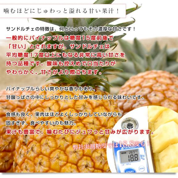 沖縄県産 JAおきなわ パイナップル サンドルチェ Lサイズ以上 3玉 (合計約3キロ前後) 送料無料 沖縄パイン ぱいなっぷる クール便05
