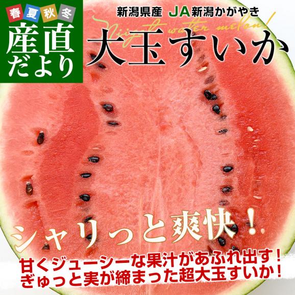 新潟県産 JA新潟かがやき 大玉すいか(祭りばやし等) 秀品 9キロ以上 4Lサイズ 1玉 送料無料 スイカ すいか 西瓜 お中元 ギフト02
