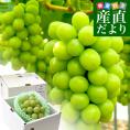 【お中元・夏ギフト】岡山県産 JA全農おかやま 高級ハウス栽培 シャインマスカット 晴王 青秀品 約600g(1房) 送料無料 葡萄 ぶどう ブドウ クール便