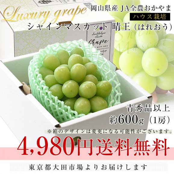 岡山県産　JA全農おかやま 高級ハウス栽培 シャインマスカット 晴王 青秀品 約600g(1房) 送料無料 葡萄 ぶどう ブドウ クール便03