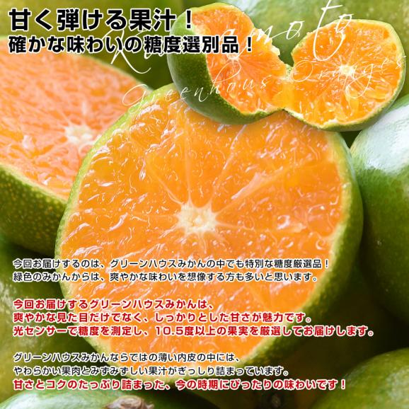 九州から産地直送 熊本県産 糖度選別 グリーンハウスみかん 赤秀 Sから2Sサイズ 約2キロ(25玉から30玉前後)ミカン 蜜柑 送料無料04