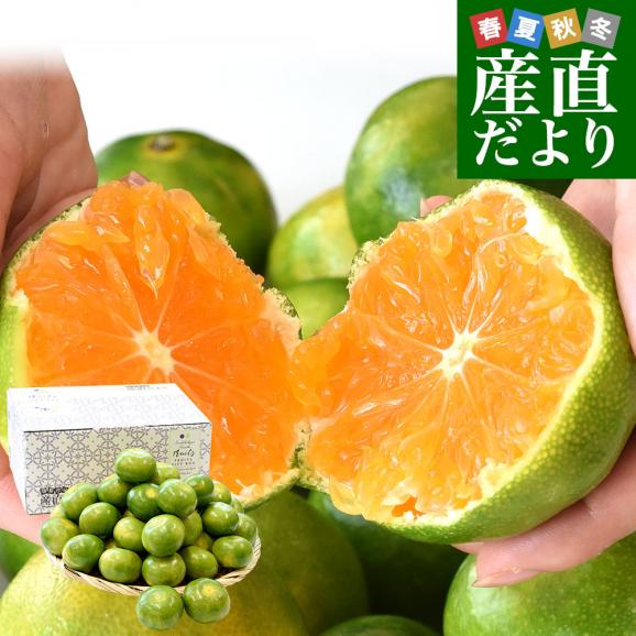 九州から産地直送 熊本県産 糖度選別 グリーンハウスみかん 赤秀 Sから2Sサイズ 約3キロ(35玉から45玉前後)ミカン 蜜柑 送料無料01