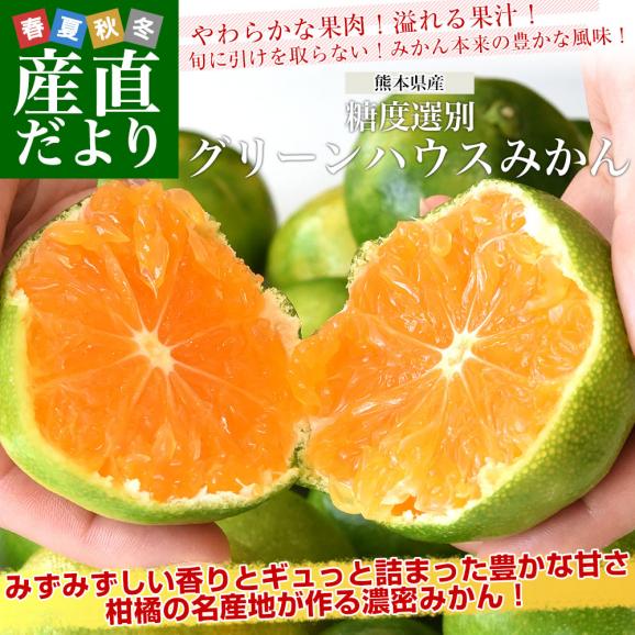 九州から産地直送 熊本県産 糖度選別 グリーンハウスみかん 赤秀 Sから2Sサイズ 約3キロ(35玉から45玉前後)ミカン 蜜柑 送料無料02