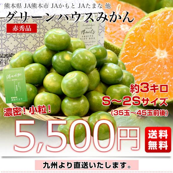 九州から産地直送 熊本県産 糖度選別 グリーンハウスみかん 赤秀 Sから2Sサイズ 約3キロ(35玉から45玉前後)ミカン 蜜柑 送料無料03