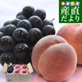 山梨県産 プレミアム果物ギフト「巨峰&times;一桃匠」 ハウス栽培品 巨峰 秀品 1房（約500g）＆八代の特秀桃 一桃匠 4玉入（約1.2キロ） 送料無料 フルーツセット フルーツギフト お中元 ギフト ぶ