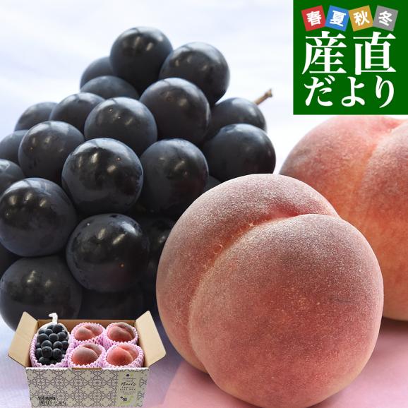 山梨県産 プレミアム果物ギフト「巨峰&times;一桃匠」 ハウス栽培品 巨峰 秀品 1房（約500g）＆八代の特秀桃 一桃匠 4玉入（約1.2キロ） 送料無料 フルーツセット フルーツギフト お中元 ギフト ぶ01