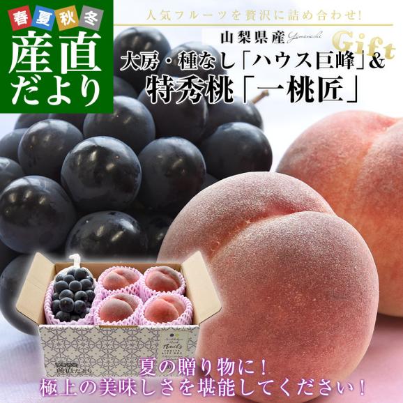 山梨県産 プレミアム果物ギフト「巨峰&times;一桃匠」 ハウス栽培品 巨峰 秀品 1房（約500g）＆八代の特秀桃 一桃匠 4玉入（約1.2キロ） 送料無料 フルーツセット フルーツギフト お中元 ギフト ぶ02