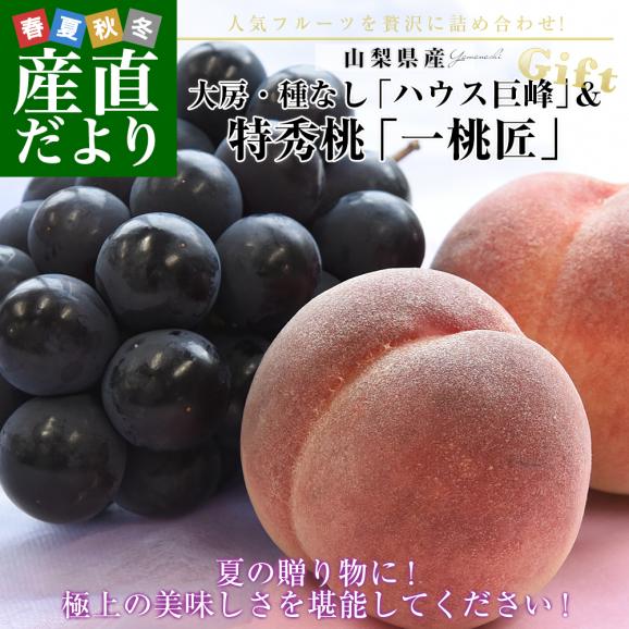 山梨県産 プレミアム果物ギフト「巨峰&times;一桃匠」 ハウス栽培品 巨峰 秀品 1房（約500g）＆八代の特秀桃 一桃匠 4玉入（約1.2キロ） 送料無料 フルーツセット フルーツギフト お中元 ギフト ぶ02