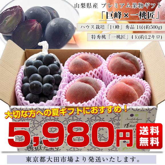 山梨県産 プレミアム果物ギフト「巨峰&times;一桃匠」 ハウス栽培品 巨峰 秀品 1房（約500g）＆八代の特秀桃 一桃匠 4玉入（約1.2キロ） 送料無料 フルーツセット フルーツギフト お中元 ギフト ぶ03