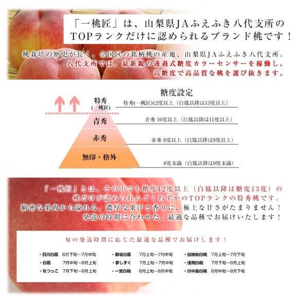 山梨県産 プレミアム果物ギフト「巨峰&times;一桃匠」 ハウス栽培品 巨峰 秀品 1房（約500g）＆八代の特秀桃 一桃匠 4玉入（約1.2キロ） 送料無料 フルーツセット フルーツギフト お中元 ギフト ぶ06