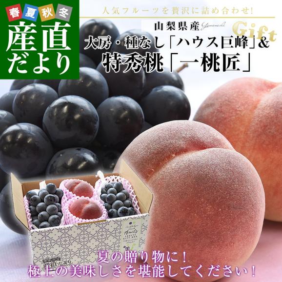山梨県産 プレミアム果物ギフト「巨峰×一桃匠」 ハウス栽培品 巨峰 秀品 2房(約1キロ)&八代の特秀桃 一桃匠 2玉入(約600g) 送料無料 フルーツセット フルーツギフト お中元 ギフト ぶどう02