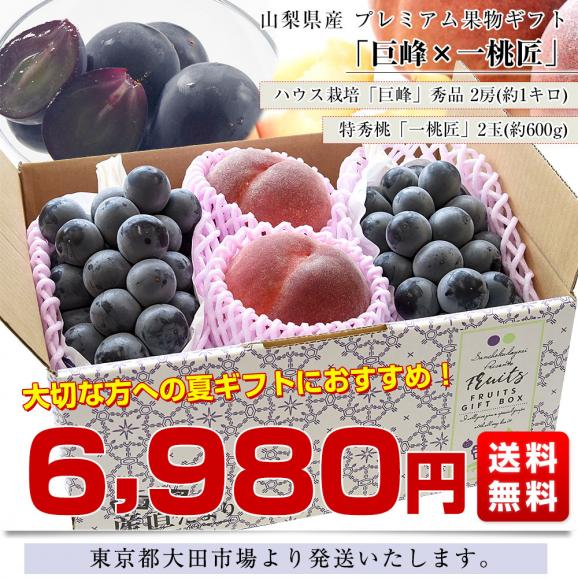 山梨県産 プレミアム果物ギフト「巨峰×一桃匠」 ハウス栽培品 巨峰 秀品 2房(約1キロ)&八代の特秀桃 一桃匠 2玉入(約600g) 送料無料 フルーツセット フルーツギフト お中元 ギフト ぶどう03
