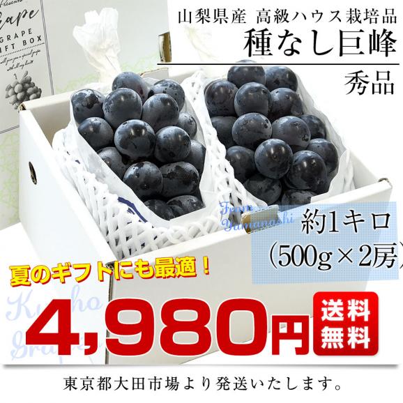 山梨県産　ハウス栽培 種なし巨峰 約1キロ (500g&times;2房入り) 送料無料 葡萄 ぶどう※クール便 ギフト お中元03