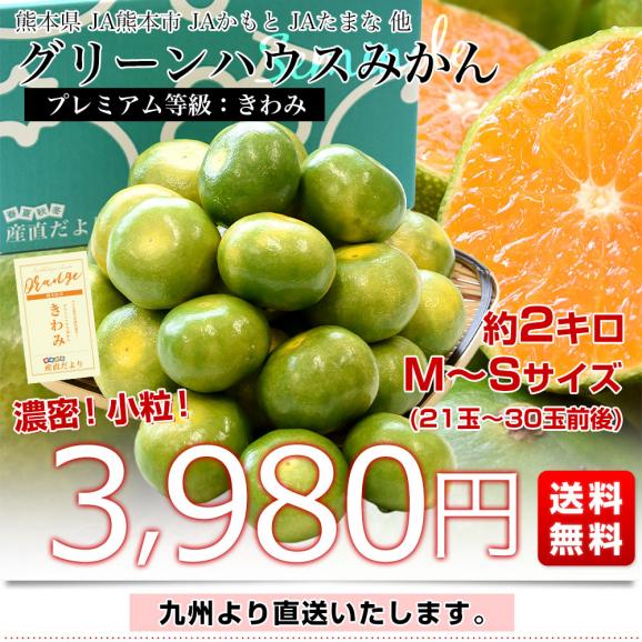 九州から産地直送 熊本県産 糖度選別 グリーンハウスみかん きわみ MからSサイズ 約2キロ（21玉から30玉前後）ミカン 蜜柑 送料無料03