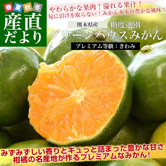 九州から産地直送 熊本県産 糖度選別 グリーンハウスみかん きわみ MからSサイズ 約4キロ（42玉から60玉前後）ミカン 蜜柑 送料無料02