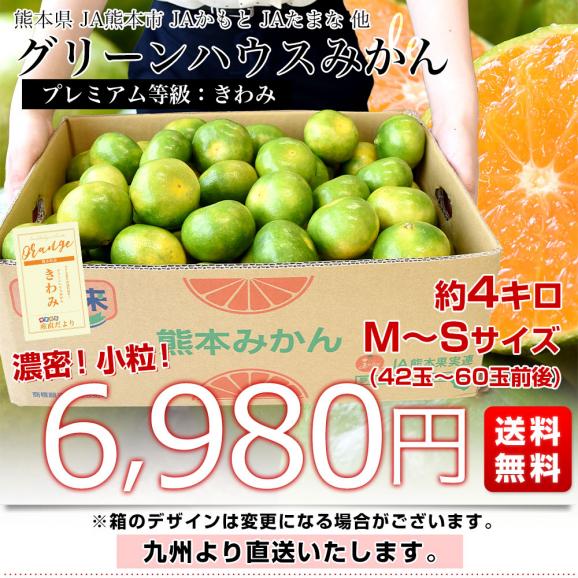 九州から産地直送 熊本県産 糖度選別 グリーンハウスみかん きわみ MからSサイズ 約4キロ（42玉から60玉前後）ミカン 蜜柑 送料無料03