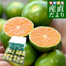九州から産地直送 熊本県産 グリーンハウスみかん ご家庭用 小粒 2Sから3Sサイズ  約270g×4パック 合計24玉前後 ミカン 蜜柑 送料無料