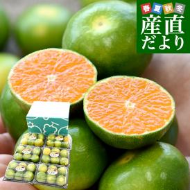 九州から産地直送 熊本県産 グリーンハウスみかん ご家庭用 小粒 2Sから3Sサイズ 約270g×6パック 合計30玉から36玉前後 ミカン 蜜柑 送料無料