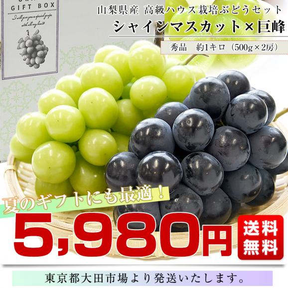 【夏ギフト】山梨県産 シャインマスカット&巨峰 合計約1キロ(500g×2房) 送料無料 クール便 ハウス栽培 ぶどうセット ギフト03