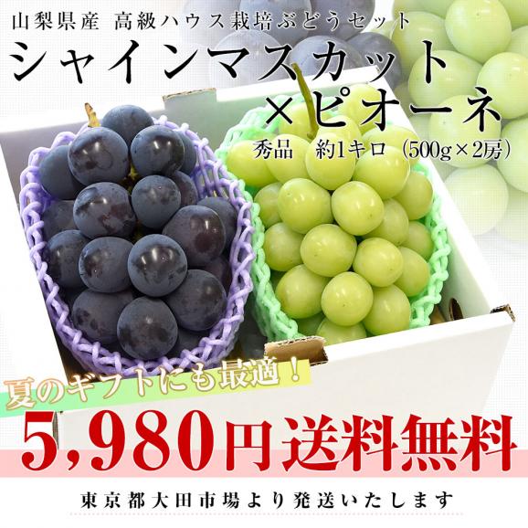 【夏ギフト】山梨県産 シャインマスカット&ピオーネ 合計約1キロ(500g×2房) 送料無料 クール便 ハウス栽培 ぶどうセット ギフト 03