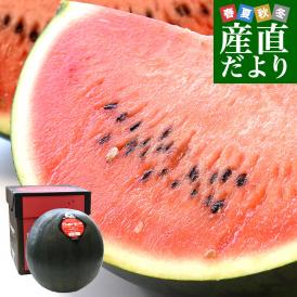北海道 JA当麻 でんすけすいか 秀品 4Lサイズ以上 1玉 9キロ以上 送料無料 スイカ 大玉すいか 大玉スイカ 西瓜