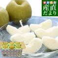 栃木県 JA全農とちぎ 幸水梨 秀品 約1.8キロ (5玉から6玉) 送料無料 なし ナシ 幸水 こうすい