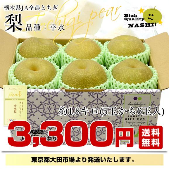栃木県 JA全農とちぎ 幸水梨 秀品 約1.8キロ (5玉から6玉) 送料無料 なし ナシ 幸水 こうすい03