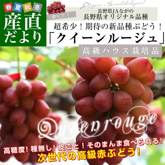 【お中元・夏ギフト】長野県 JAながの ハウス栽培品 クイーンルージュ 約1キロ（2房） 送料無料  ブドウ 葡萄 ギフト お中元02