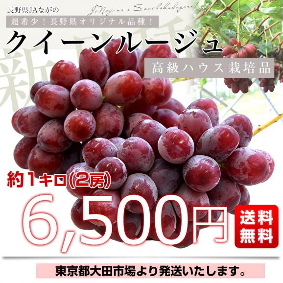 長野県 JAながの ハウス栽培品 クイーンルージュ 約1キロ（2房） 送料無料  ブドウ 葡萄 ギフト お中元03