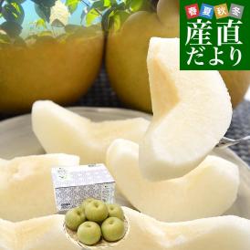 九州から産地直送 熊本県 大玉梨 厳選農家のこだわり梨 約2キロ (4玉から6玉) 送料無料 幸水梨 なし 熊本