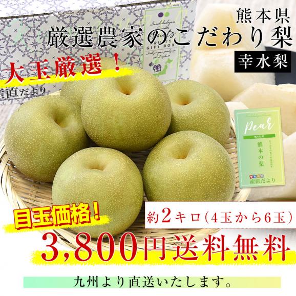 九州から産地直送 熊本県 大玉梨 厳選農家のこだわり梨 約2キロ (4玉から6玉) 送料無料 幸水梨 なし 熊本03