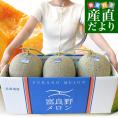 北海道産 JAふらの 富良野メロン 超特大3玉(合計8キロ前後)原体箱 秀品 送料無料 富良野産メロン 北海道メロン ギフト