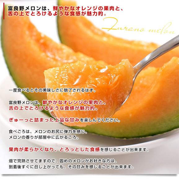 北海道産 JAふらの 富良野メロン 超特大3玉(合計8キロ前後)原体箱 秀品 送料無料 富良野産メロン 北海道メロン ギフト04