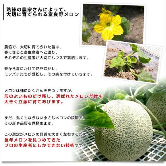 北海道産 JAふらの 富良野メロン 超特大3玉(合計8キロ前後)原体箱 秀品 送料無料 富良野産メロン 北海道メロン ギフト06