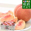 青森県産 JAつがる弘前 つがるの桃　川中島白桃 約2キロ（6玉から9玉）送料無料 もも モモ 桃