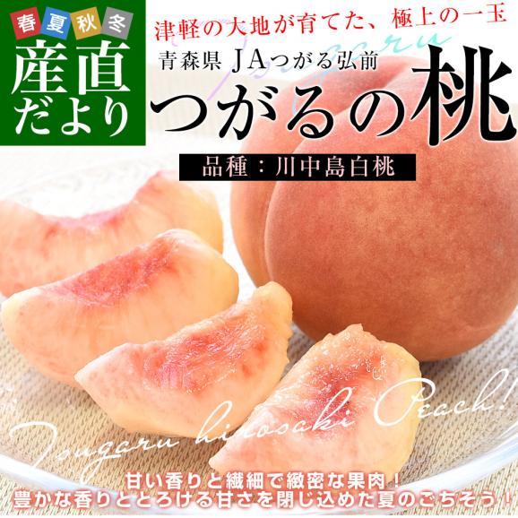 青森県産 JAつがる弘前 つがるの桃　川中島白桃 約2キロ（6玉から9玉）送料無料 もも モモ 桃02
