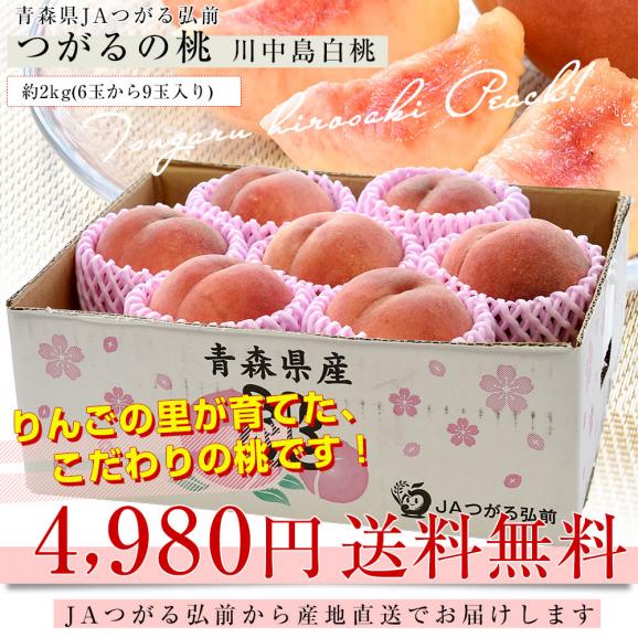 青森県産 JAつがる弘前 つがるの桃　川中島白桃 約2キロ（6玉から9玉）送料無料 もも モモ 桃03