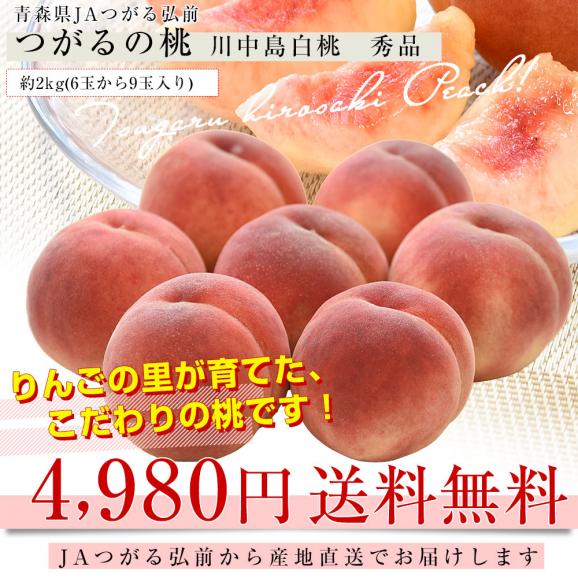 青森県産 JAつがる弘前 つがるの桃　川中島白桃 約2キロ（6玉から9玉）送料無料 もも モモ 桃03