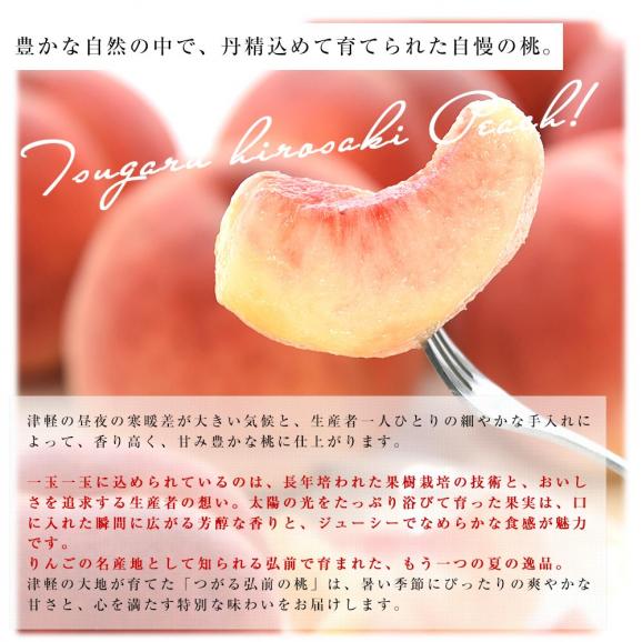 青森県産 JAつがる弘前 つがるの桃　川中島白桃 約2キロ（6玉から9玉）送料無料 もも モモ 桃04