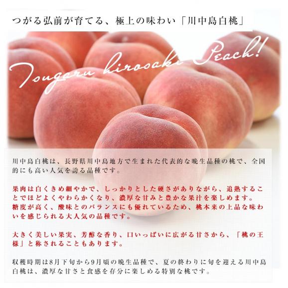 青森県産 JAつがる弘前 つがるの桃　川中島白桃 約2キロ（6玉から9玉）送料無料 もも モモ 桃05