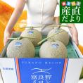 北海道産 JAふらの 富良野メロン 4玉入(約8キロ)原体箱 秀品 送料無料 富良野産メロン 北海道メロン ギフト
