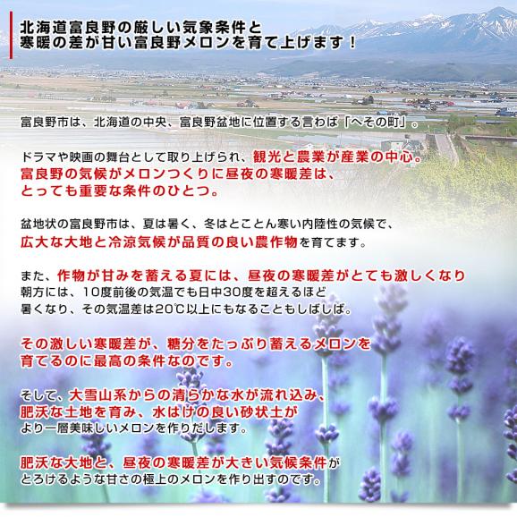 北海道産 JAふらの 富良野メロン 4玉入(約8キロ)原体箱 秀品 送料無料 富良野産メロン 北海道メロン ギフト05