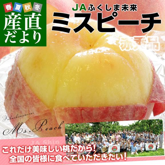 福島県産 JAふくしま未来 ミスピーチ ご家庭向け 赤秀品 約2キロ (5玉から6玉) 送料無料 もも 桃 モモ02