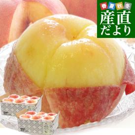 福島県産 JAふくしま未来 ミスピーチ ご家庭向け 赤秀品 約2キロ×2箱 (5玉から6玉×2箱) 送料無料 もも 桃 モモ