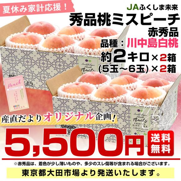 福島県産 JAふくしま未来 ミスピーチ ご家庭向け 赤秀品 約2キロ&times;2箱 (5玉から6玉&times;2箱) 送料無料 もも 桃 モモ03