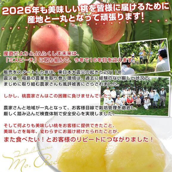 福島県産 JAふくしま未来 ミスピーチ ご家庭向け 赤秀品 約2キロ&times;2箱 (5玉から6玉&times;2箱) 送料無料 もも 桃 モモ04