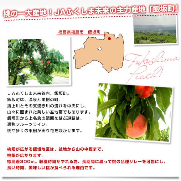 福島県産 JAふくしま未来 ミスピーチ ご家庭向け 赤秀品 約2キロ&times;2箱 (5玉から6玉&times;2箱) 送料無料 もも 桃 モモ05