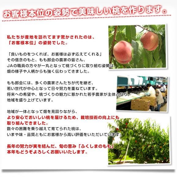 福島県産 JAふくしま未来 ミスピーチ ご家庭向け 赤秀品 約2キロ&times;2箱 (5玉から6玉&times;2箱) 送料無料 もも 桃 モモ06