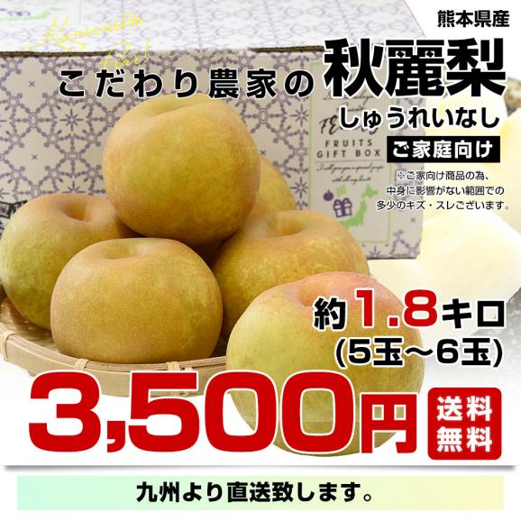 九州から産地直送 熊本県 こだわり農家の秋麗梨 (しゅうれいなし)  約1.8キロ (5玉から6玉) 送料無料 ナシ なし03
