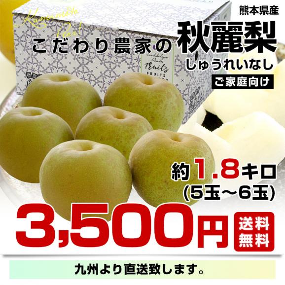 九州から産地直送 熊本県 こだわり農家の秋麗梨 (しゅうれいなし)  約1.8キロ (5玉から6玉) 送料無料 ナシ なし03